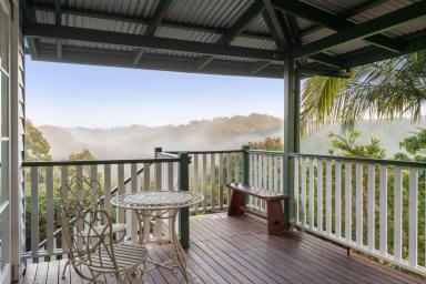 Acreage/Semi-rural For Sale - QLD - Ridgewood - 4563 - Scale, Privacy and Provenance - A Rare Noosa Hinterland Holding  (Image 2)