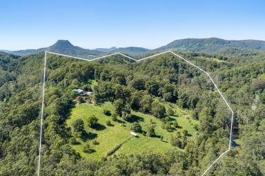Acreage/Semi-rural For Sale - QLD - Ridgewood - 4563 - Scale, Privacy and Provenance - A Rare Noosa Hinterland Holding  (Image 2)