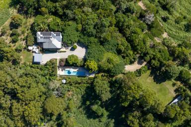 Acreage/Semi-rural For Sale - QLD - Ridgewood - 4563 - Scale, Privacy and Provenance - A Rare Noosa Hinterland Holding (Image 2)