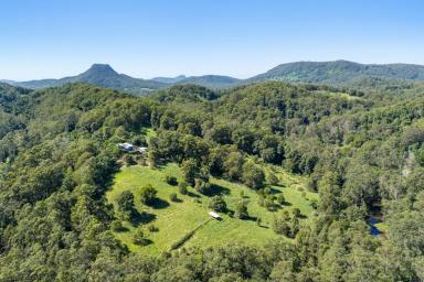 Acreage/Semi-rural For Sale - QLD - Ridgewood - 4563 - Scale, Privacy and Provenance - A Rare Noosa Hinterland Holding  (Image 2)
