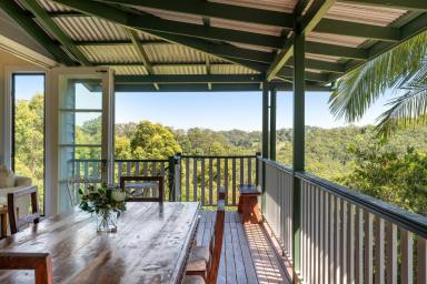 Acreage/Semi-rural For Sale - QLD - Ridgewood - 4563 - Scale, Privacy and Provenance - A Rare Noosa Hinterland Holding  (Image 2)