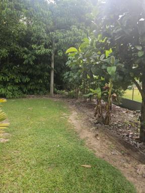 House For Lease - QLD - Ingham - 4850 - Highset Home on 1,012m² Block – Peaceful Location (Image 2)