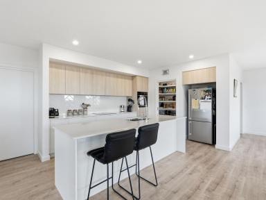 House For Lease - TAS - Austins Ferry - 7011 - Spacious & Comfortable Living in the Heart of Austins Ferry  (Image 2)