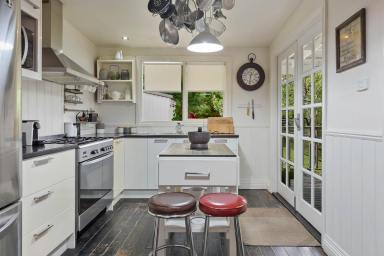 House For Sale - TAS - Queenstown - 7467 - Magnolia Cottage - Proven Airbnb Performer or Charming Permanent Home (Image 2)