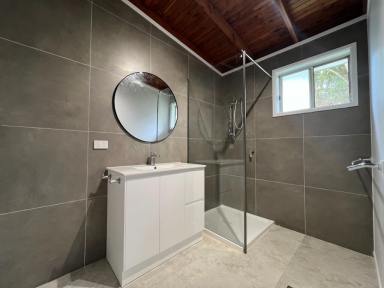 House Sold - QLD - Macleay Island - 4184 - Charming Renovated 2 Bedroom Home in a Leafy Setting  (Image 2)