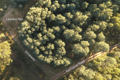 Residential Block For Sale - TAS - Holwell - 7275 - Nature Lovers Take Note  (Image 2)