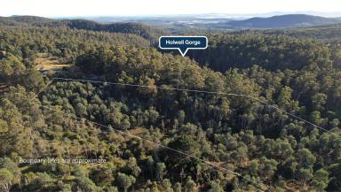 Residential Block For Sale - TAS - Holwell - 7275 - Nature Lovers Take Note  (Image 2)