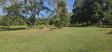 Residential Block For Sale - QLD - Ingham - 4850 - VIEWS TO INSPIRE IN INGHAM!  (Image 2)