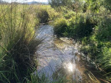 Residential Block For Sale - VIC - Glenburn - 3717 - Prime Lifestyle Acreage with Creek Frontage & Quality Infrastructure  (Image 2)