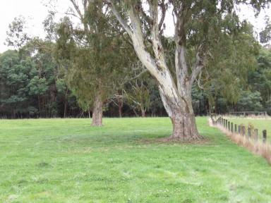 Residential Block For Sale - VIC - Glenburn - 3717 - Prime Lifestyle Acreage with Creek Frontage & Quality Infrastructure  (Image 2)