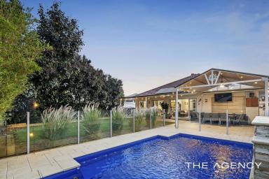 House For Sale - WA - Morley - 6062 - Perfect Family Home with Pool  (Image 2)
