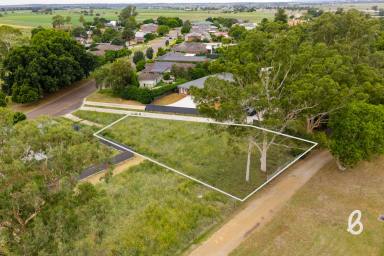 Residential Block For Sale - NSW - Singleton - 2330 - Ready to Build - 1,117m2 block of land (Image 2)