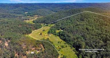 Lifestyle For Sale - NSW - Laguna - 2325 - The Epitome of Country Living in the Wollombi Valley  (Image 2)