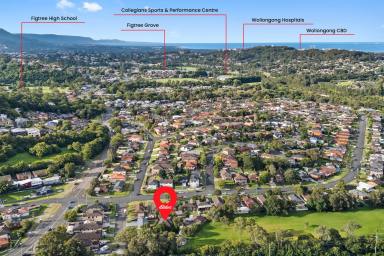 Unit For Sale - NSW - Figtree - 2525 - Single Level 2 Bedroom Villa-Style Living  (Image 2)