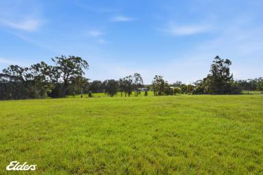 Residential Block For Sale - VIC - Won Wron - 3971 - VACANT LAND - QUIET COURT -  WON WRON  (Image 2)