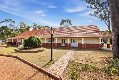House For Sale - VIC - Ascot - 3551 - Character, space and lifestyle on over 5000 square metres  (Image 2)