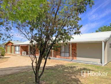 Acreage/Semi-rural For Sale - NSW - Inverell - 2360 - The Complete Package: Space, Shedding & Rural Outlook  (Image 2)