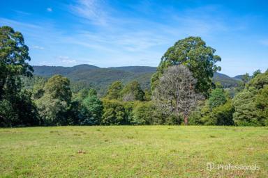 House For Sale - VIC - Hoddles Creek - 3139 - ELEVATED COUNTRY LIVING - YOUR OWN PRIVATE 70 ACRE APP. RETREAT AWAITS  (Image 2)