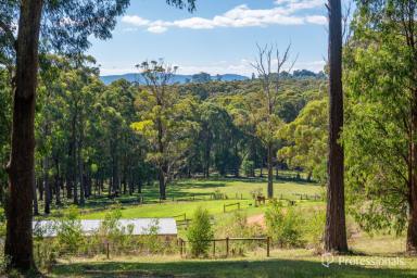 House For Sale - VIC - Hoddles Creek - 3139 - ELEVATED COUNTRY LIVING - YOUR OWN PRIVATE 70 ACRE APP. RETREAT AWAITS  (Image 2)
