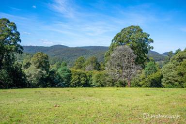House Sold - VIC - Hoddles Creek - 3139 - YOUR OWN PRIVATE RURAL RETREAT ON ALMOST 70 ACRES - INSPECTIONS BY APPOINTMENT ONLY (Image 2)