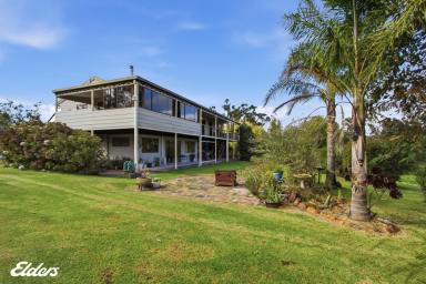 House For Sale - VIC - Won Wron - 3971 - ROOM TO MOVE WITH SHEDDING, VIEWS AND ENDLESS POTENTIAL  (Image 2)