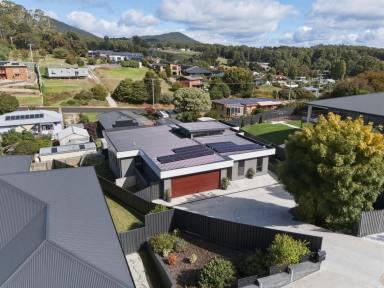 House For Sale - TAS - Penguin - 7316 - Near-New Living with Space, Style & a Serious Bonus  (Image 2)