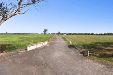 Mixed Farming For Sale - VIC - Muskerry - 3557 - 100 Acres On The Campaspe River  (Image 2)