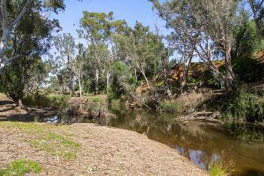 Mixed Farming For Sale - VIC - Muskerry - 3557 - 100 Acres On The Campaspe River  (Image 2)