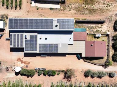 Horticulture For Sale - VIC - Merbein South - 3505 - QUALITY TABLE GRAPE PROPERTY ON 2 TITLES  (Image 2)