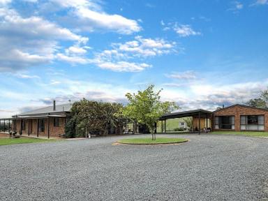House For Sale - NSW - Young - 2594 - 3 Dwellings, 7 Acres, Close to Town!  (Image 2)