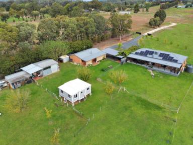 House For Sale - NSW - Young - 2594 - 3 Dwellings, 7 Acres, Close to Town!  (Image 2)