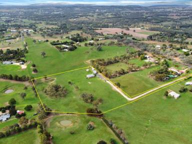 House For Sale - NSW - Young - 2594 - 3 Dwellings, 7 Acres, Close to Town!  (Image 2)