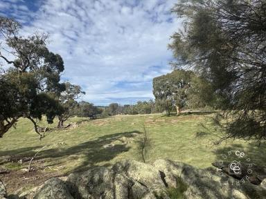 Lifestyle For Sale - SA - Eden Valley - 5235 - Build a lifestyle of your choice  (Image 2)