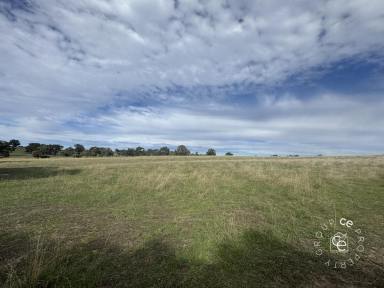 Lifestyle For Sale - SA - Eden Valley - 5235 - Build a lifestyle of your choice  (Image 2)