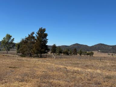 Mixed Farming For Sale - NSW - Baerami - 2333 - High Production Potential on the Goulburn River!!  (Image 2)