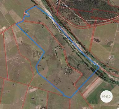 Mixed Farming For Sale - NSW - Baerami - 2333 - High Production Potential on the Goulburn River!!  (Image 2)
