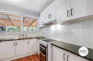 House For Lease - NSW - Lavington - 2641 - SPACIOUS FAMILY HOME (Image 2)