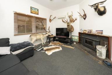 House For Sale - VIC - Swan Hill - 3585 - BRING THE BOYS TO THE YARD or KNOCK KNOCK (you choose)  (Image 2)