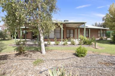Lifestyle For Sale - VIC - Pental Island - 3586 - Murray River Lifestyle Retreat  (Image 2)