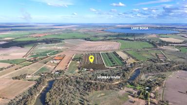 Lifestyle For Sale - VIC - Pental Island - 3586 - Murray River Lifestyle Retreat  (Image 2)