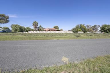 Residential Block For Sale - VIC - Piangil - 3597 - Have your Pie and eat it too!!  (Image 2)