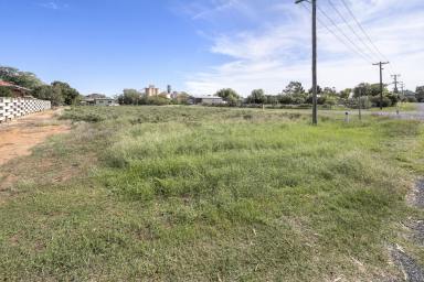 Residential Block For Sale - VIC - Piangil - 3597 - Have your Pie and eat it too!!  (Image 2)