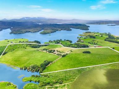 Lifestyle For Sale - QLD - Kairi - 4872 - Lakeview, A Rare Waterfront Lifestyle Property on Lake Tinaroo, Atherton Tablelands, Queensland (Image 2)