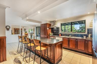 Livestock For Sale - NSW - Coutts Crossing - 2460 - ACREAGE LIVING WITH SPACE, SHEDDING & ENDLESS FLEXIBILITY (Image 2)