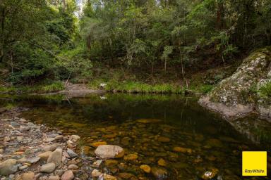 Lifestyle For Sale - NSW - Craven - 2422 - 'Stoneleigh' - Riverfront Lifestyle (Image 2)