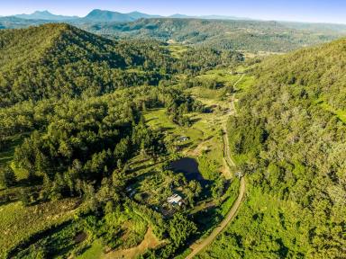 Lifestyle For Sale - NSW - Larnook - 2480 - Peaceful Off-Grid Living  (Image 2)
