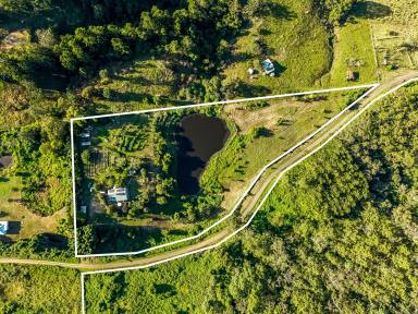 Lifestyle For Sale - NSW - Larnook - 2480 - Peaceful Off-Grid Living  (Image 2)