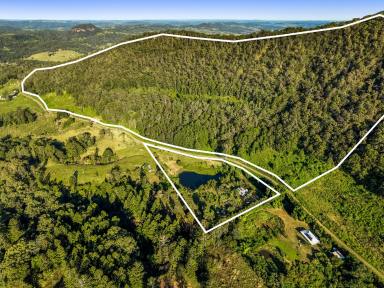 Lifestyle For Sale - NSW - Larnook - 2480 - Peaceful Off-Grid Living  (Image 2)