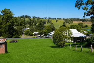 Residential Block For Sale - NSW - Mallanganee - 2469 - JUST UNDER 1 ACRE OF LAND, GREAT VIEWS, GREAT VILLAGE  (Image 2)