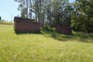 Residential Block For Sale - NSW - Mallanganee - 2469 - HIDDEN TREASURE  (Image 2)